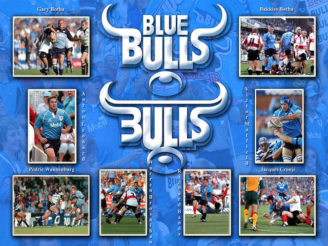 Blue bulls football team player free wallpaper - medium preview image