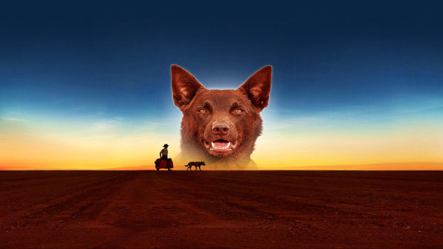 Dog man horse desert sunset free wallpaper - medium preview image