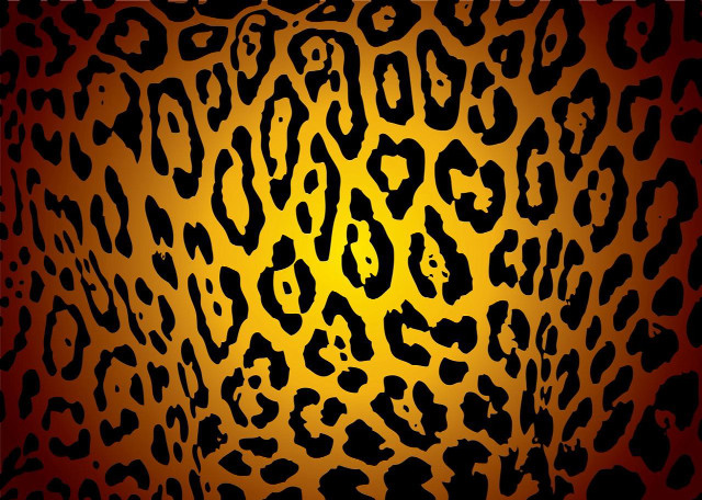 Leopard yellow black red border free wallpaper - medium preview image
