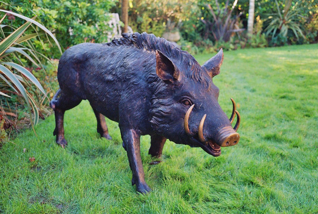 Bronze boar statue garden grass free wallpaper - medium preview image