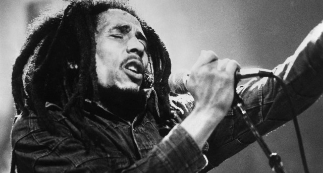 Man dreadlocks singing microphone stage #2 free wallpaper - medium preview image