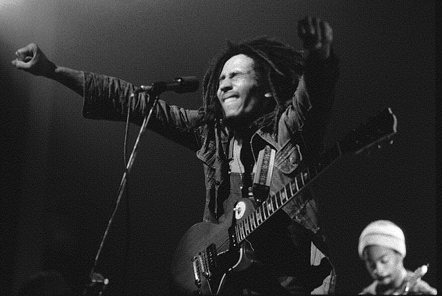 Man dreadlocks guitar microphone performance free wallpaper - medium preview image