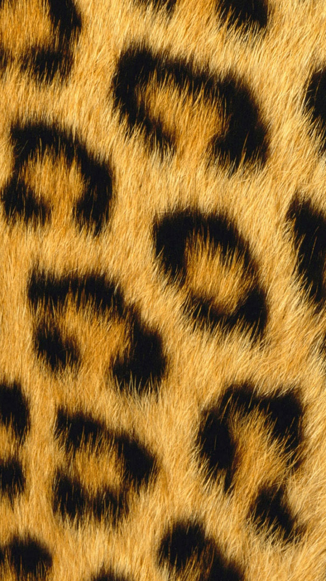 Animal fur pattern black background free wallpaper - medium preview image