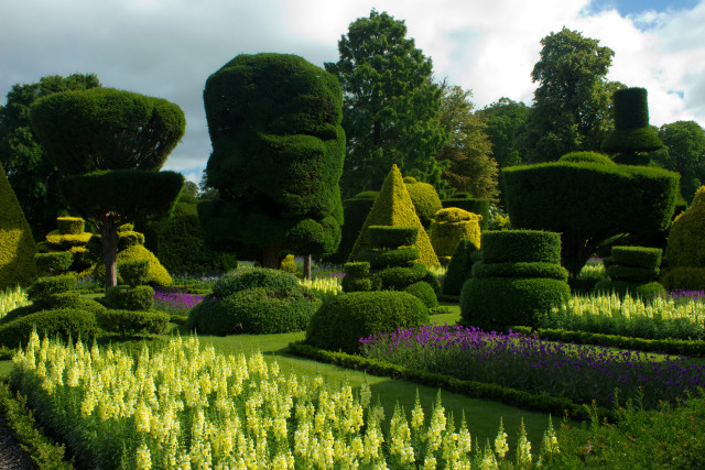 Garden variety plants flowers blooming free wallpaper - medium preview image