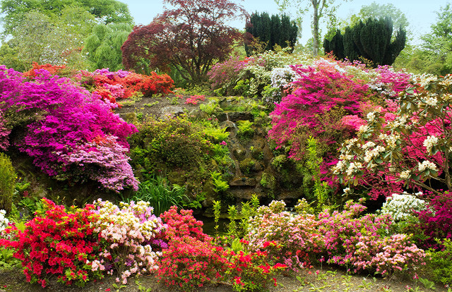 Garden colorful flowers trees bench free wallpaper - medium preview image