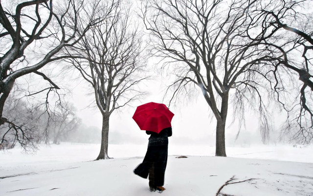 Person walking snow red umbrella #2 free wallpaper - medium preview image