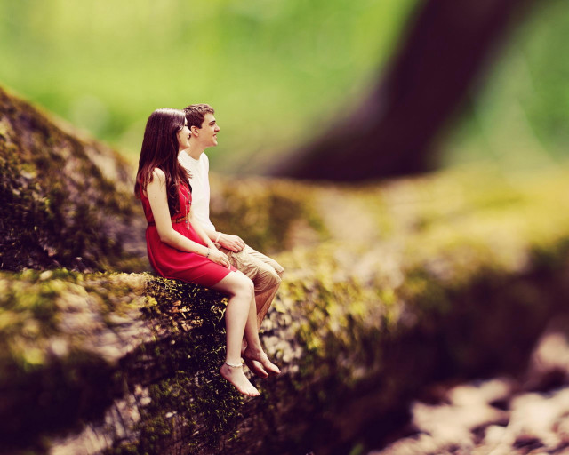 Miniature man woman mossy log free wallpaper - medium preview image