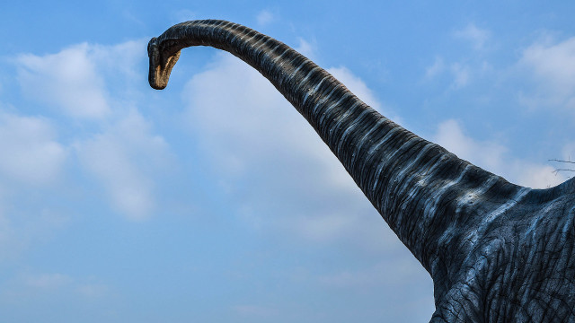 Large dinosaur statue long neck free wallpaper - medium preview image