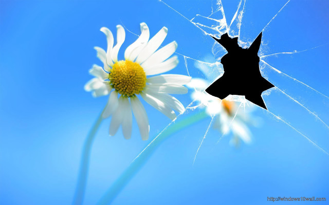 Flower broken glass blue sky free wallpaper - medium preview image