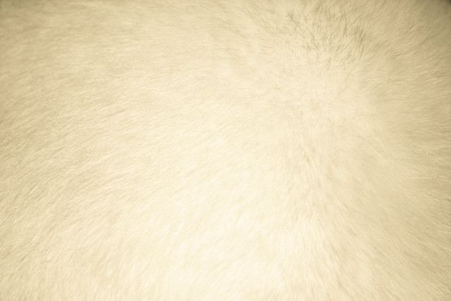 White fur texture black border free wallpaper - medium preview image