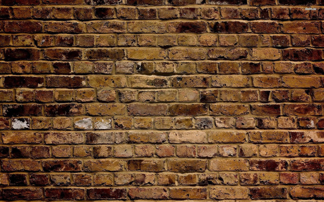 Brick wall white cat black #2 free wallpaper - medium preview image