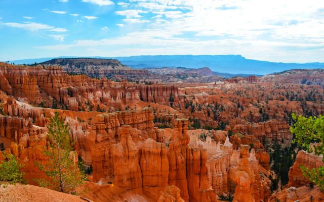 Canyon trees mountains sky bridge free wallpaper - medium preview image