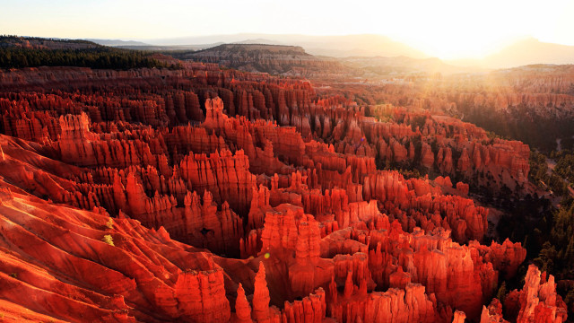 Canyon tall rocks trees distant free wallpaper - medium preview image
