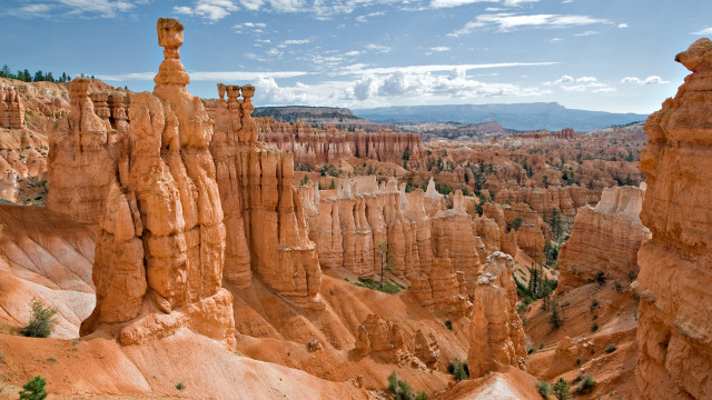 Scenic canyon tall rocks trees free wallpaper - medium preview image