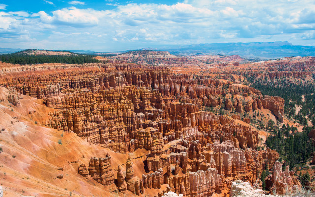Canyon trees rocks blue sky free wallpaper - medium preview image