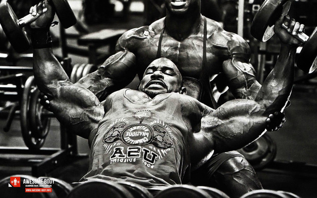 Man bench press barbell holding free wallpaper - medium preview image