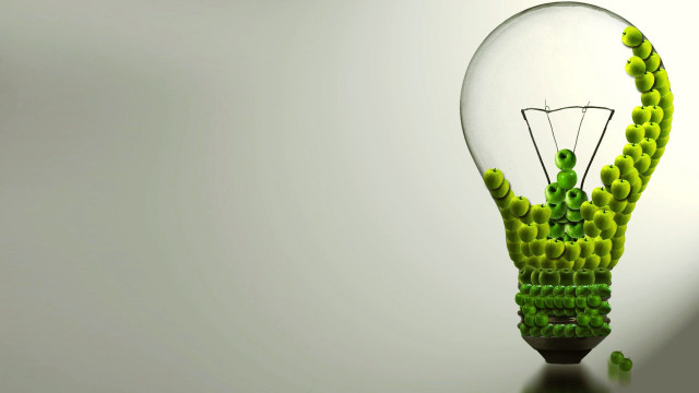 Light bulb green plant tabletop free wallpaper - medium preview image