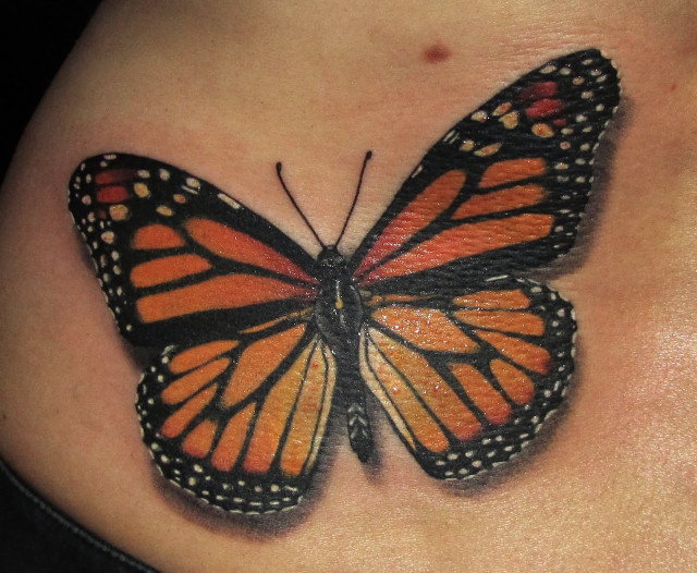 Butterfly tattoo woman stomach body free wallpaper - medium preview image