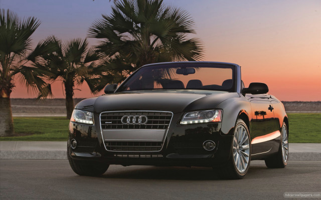 Black convertible car sunset palm free wallpaper - medium preview image