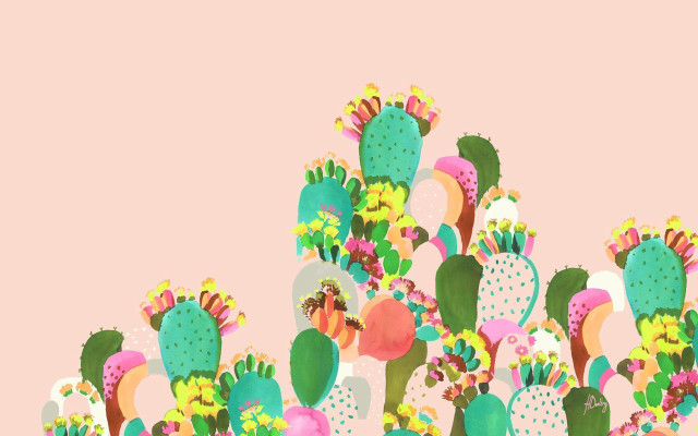 Cactus plants pink background pink free wallpaper - medium preview image