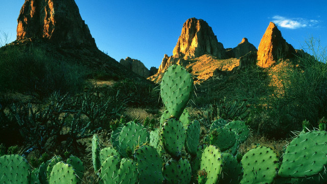 Cactus mountain blue sky clouds free wallpaper - medium preview image