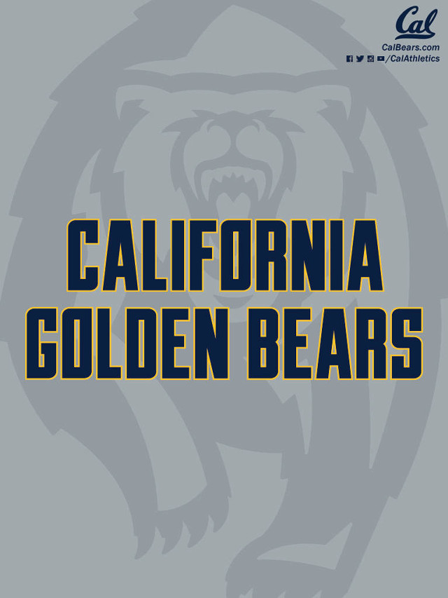 Gray yellow california golden bears free wallpaper - medium preview image
