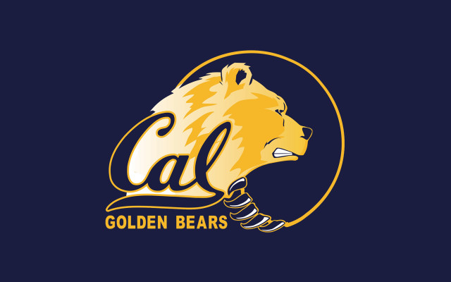 Golden bear black background blue free wallpaper - medium preview image