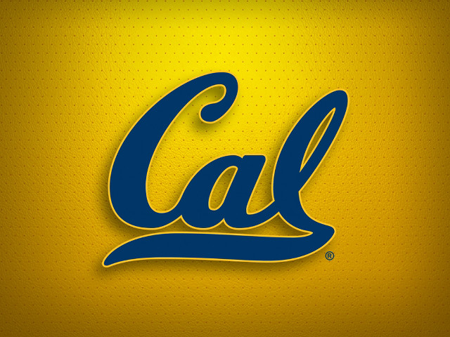 Cal logo yellow background blue free wallpaper - medium preview image