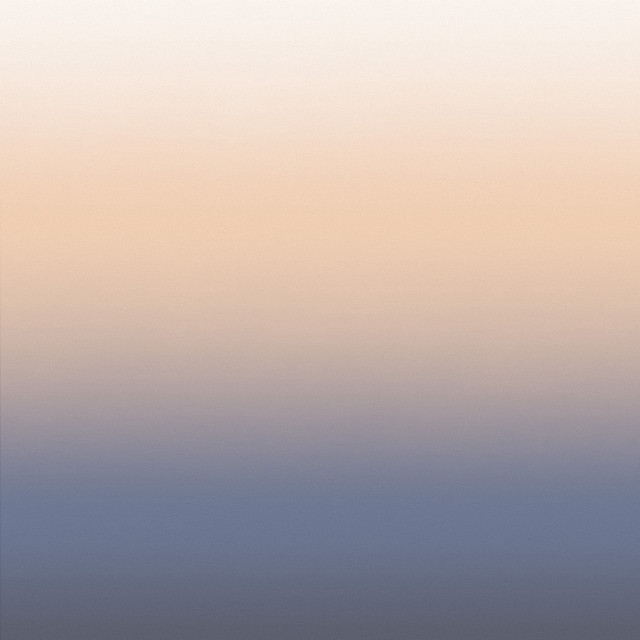 Lone bird beach sunset hazy free wallpaper - medium preview image