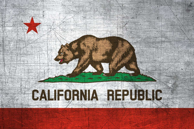 Grungy flag bear california republic free wallpaper - medium preview image