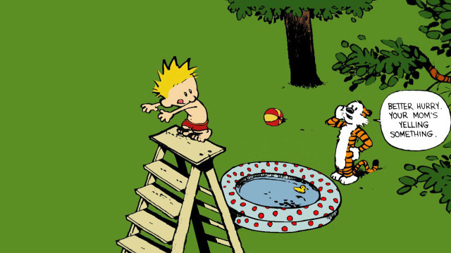 Boy ladder pool cat yard free wallpaper - medium preview image