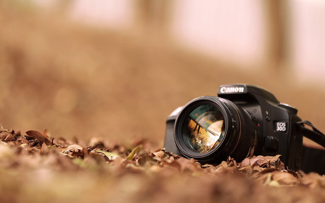 Camera leaves ground lens nature #2 free wallpaper - medium preview image