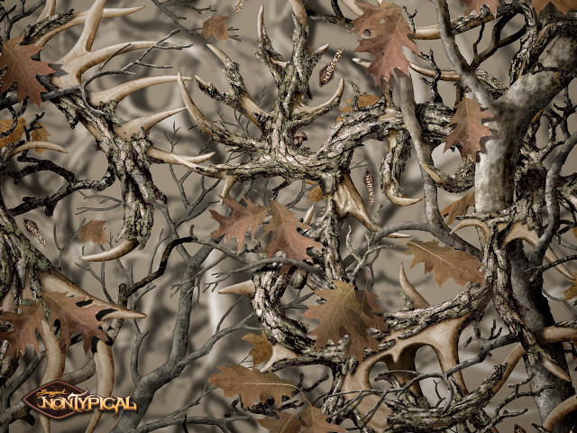 Camouflage background leaves deer antlers free wallpaper - medium preview image