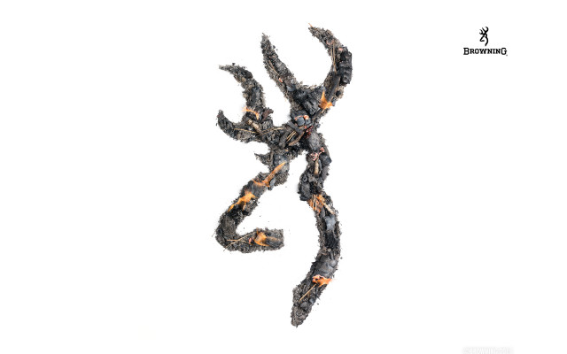 Black orange lizard air tail free wallpaper - medium preview image