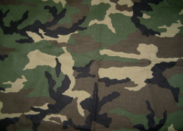 Camouflage print black white stripe #2 free wallpaper - medium preview image