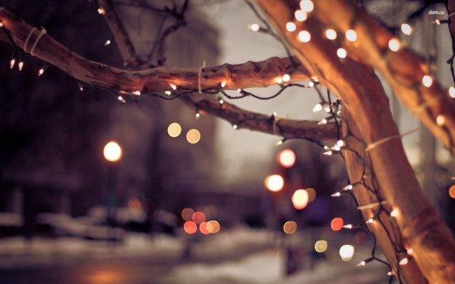 Tree lights snow night streetlight free wallpaper - medium preview image