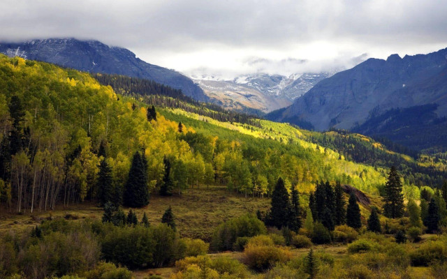 Mountain range forest snowy tops free wallpaper - medium preview image