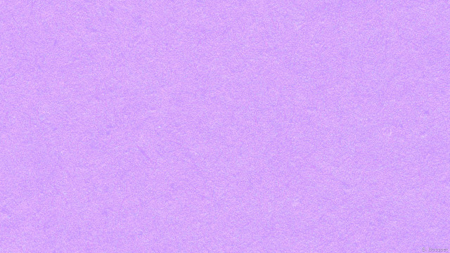 Purple background white bird black free wallpaper - medium preview image
