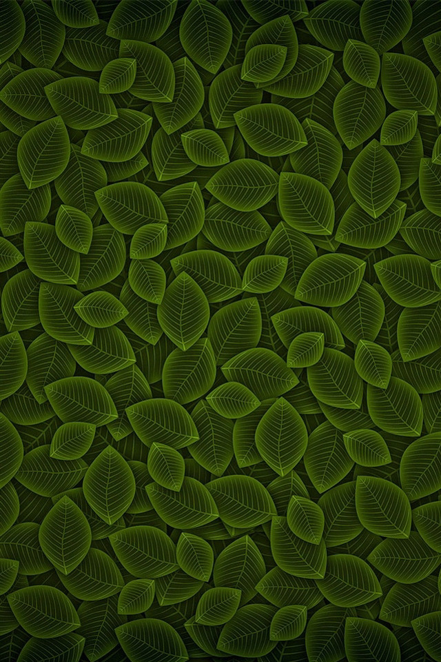 Green background leaves black background free wallpaper - medium preview image