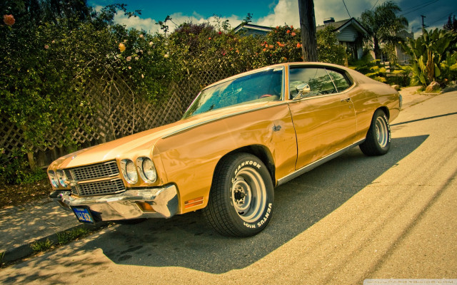 Yellow car road fence bushes free wallpaper - medium preview image