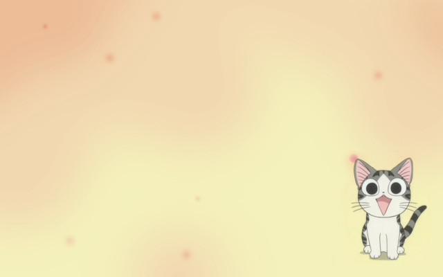 Surprised cat yellow background stars free wallpaper - medium preview image