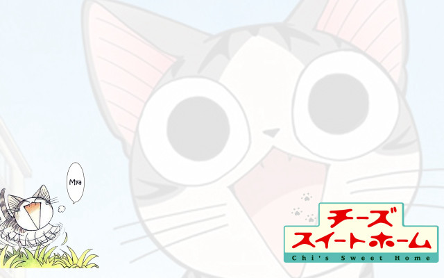 Cartoon cat funny caption foreign free wallpaper - medium preview image