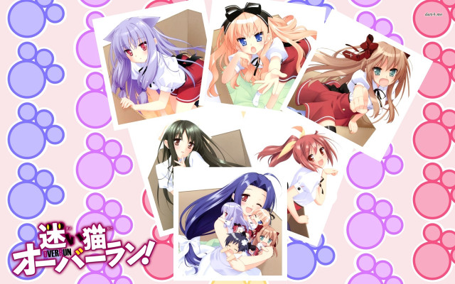 Anime girls multiple haircolors animal free wallpaper - medium preview image