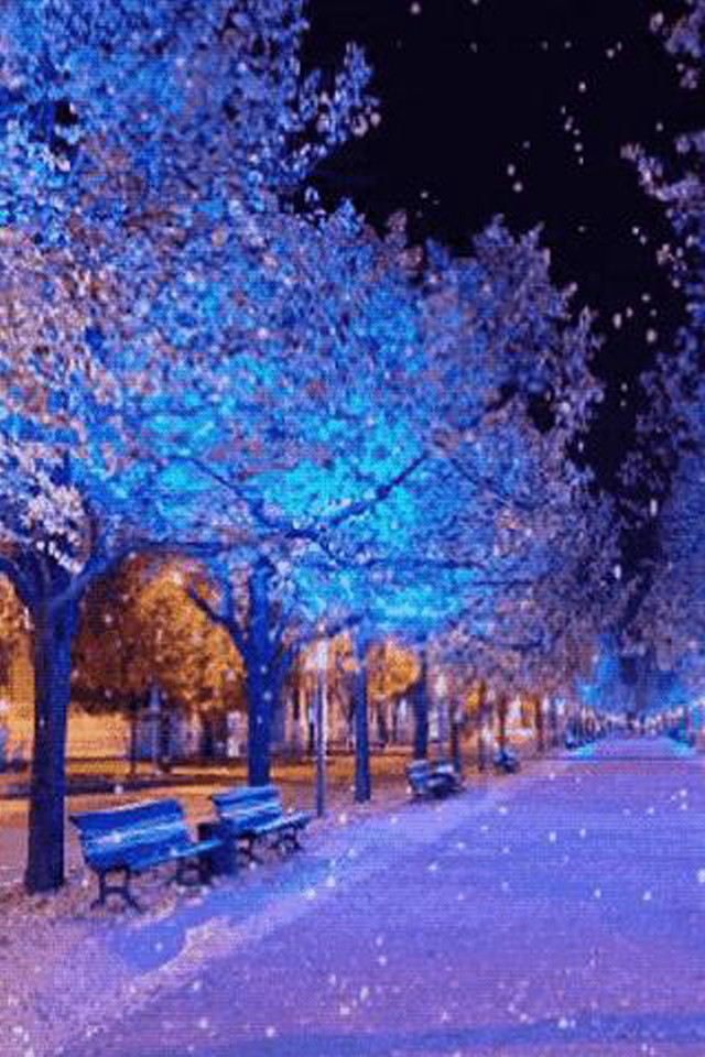 Park bench trees snow night free wallpaper - medium preview image