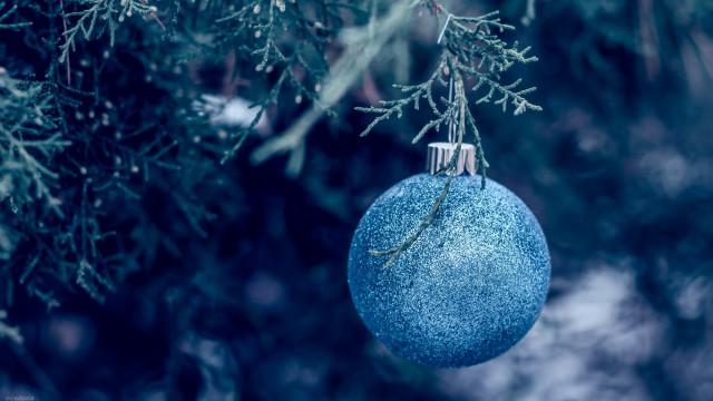 Blue ornament snowy branch minimalist free wallpaper - medium preview image