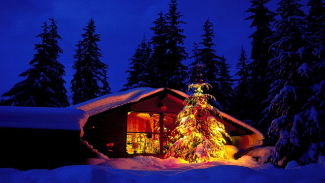 Christmas tree cabin snow night #2 free wallpaper - medium preview image