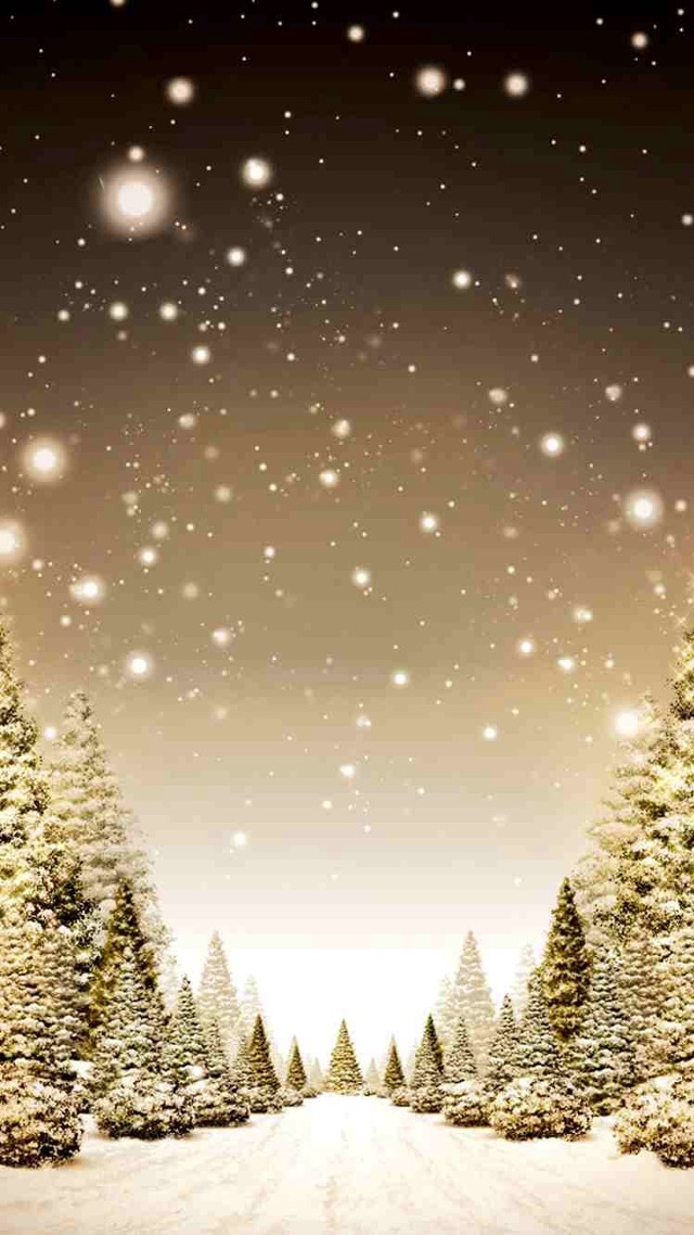 Snowy trees star night moon free wallpaper - medium preview image