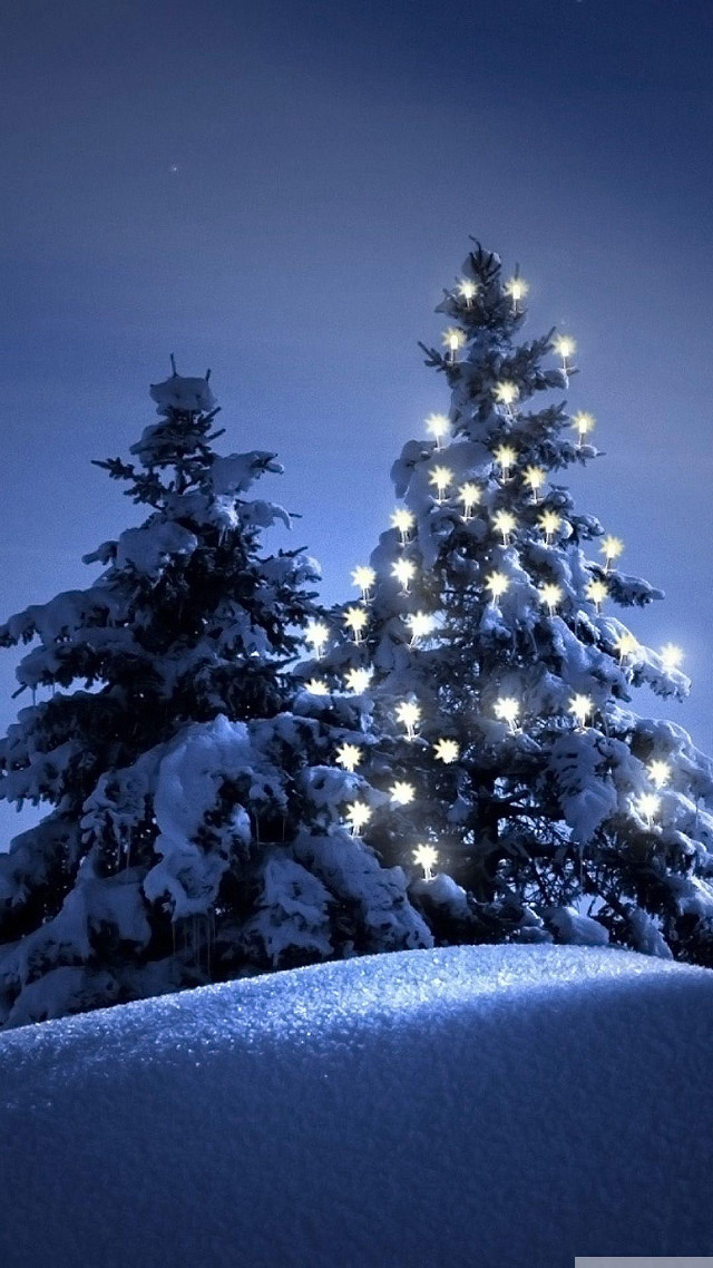 Snowy landscape christmas tree full free wallpaper - medium preview image