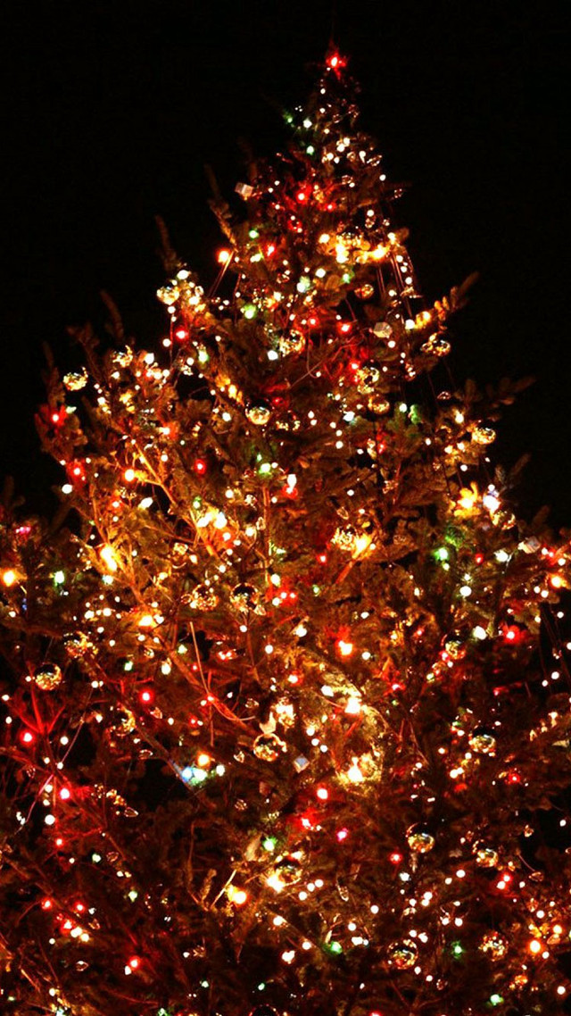 Large christmas tree lights night free wallpaper - medium preview image