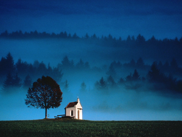 Church hill tree foggy sky free wallpaper - medium preview image